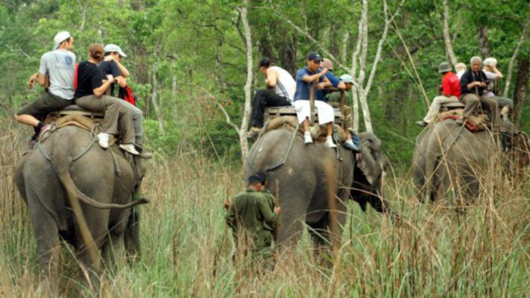 Chitwan