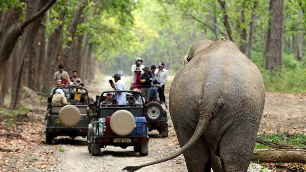 Chitwan