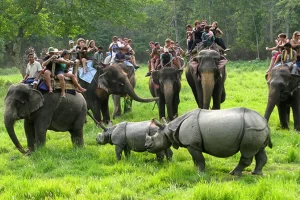Chitwan Chitwan