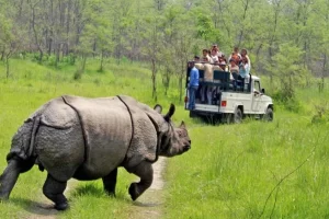 Chitwan(1) Chitwan(1)