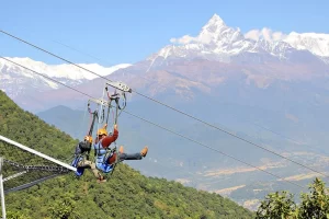 Zip Flyer Zip Flyer