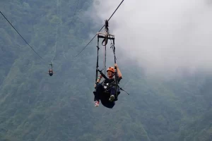 Zip flyer_ Zip flyer_